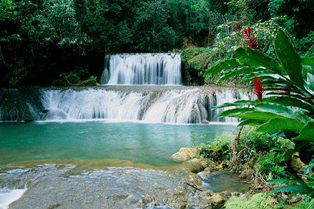 YS-Falls-Jamaica-Natural-Pool-450x300