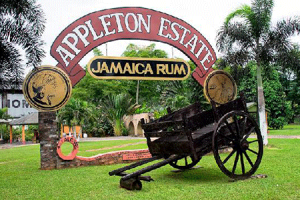 appleton-estate-rum-450x300